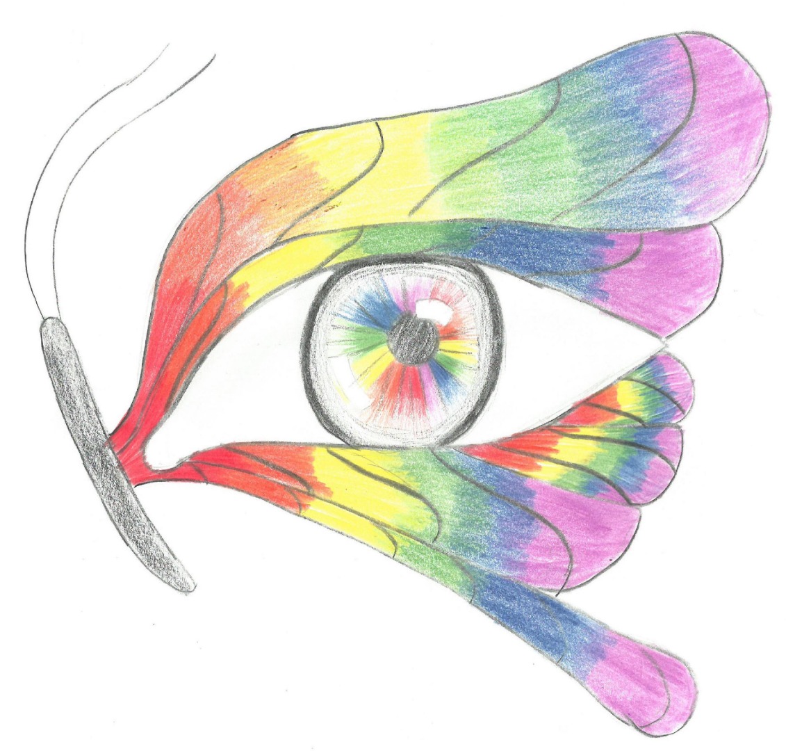 Student art of a butterfly with rainbow wings